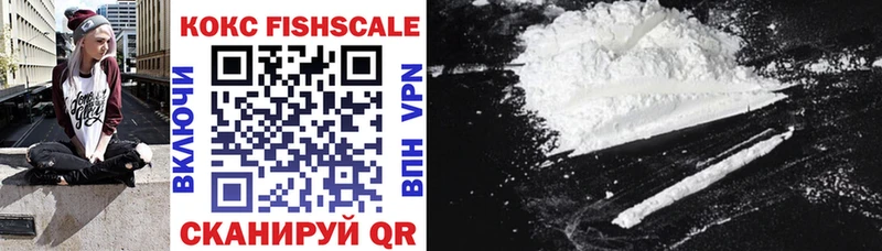 Купить закладки  Нелидово  КОКАИН FishScale 