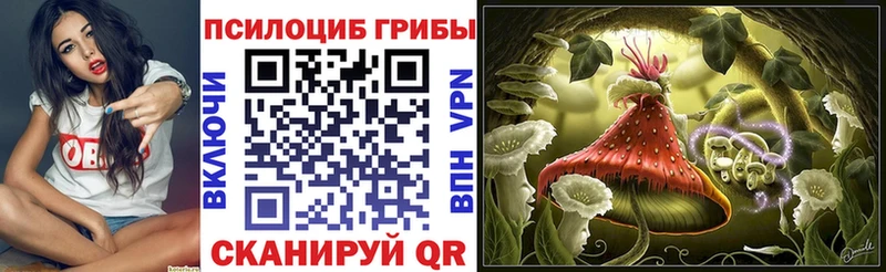 Псилоцибиновые грибы Psilocybine cubensis  Купить закладки  Нелидово 